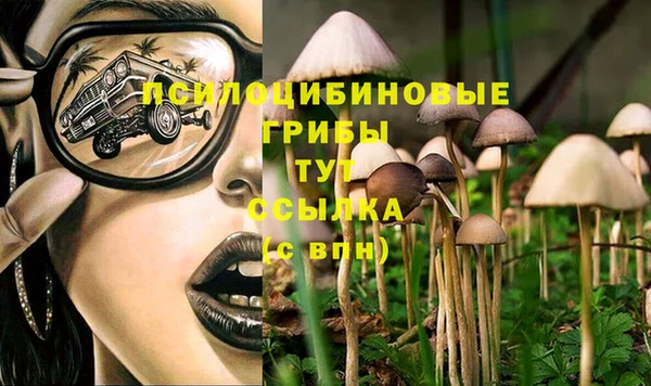 гашиш Богородск