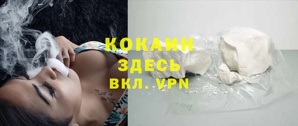 mdpv Бородино