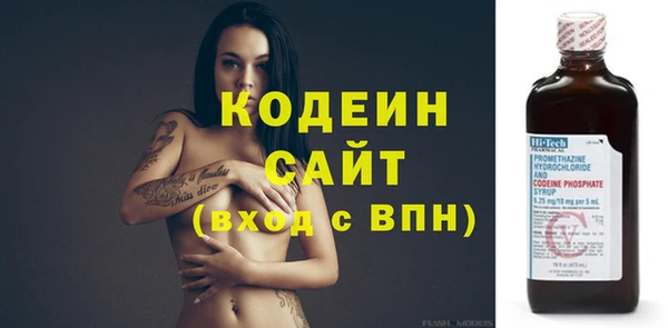 ГАЛЛЮЦИНОГЕННЫЕ ГРИБЫ Богданович