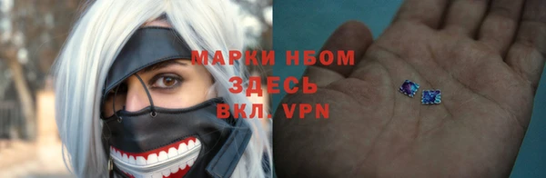 ГАЛЛЮЦИНОГЕННЫЕ ГРИБЫ Богданович