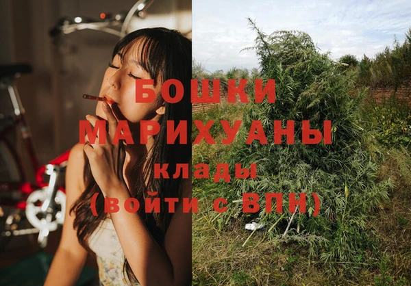 ГАЛЛЮЦИНОГЕННЫЕ ГРИБЫ Богданович