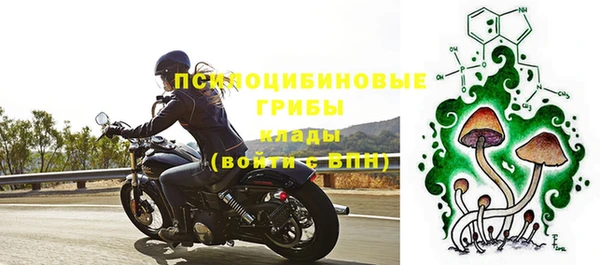 mdpv Бородино