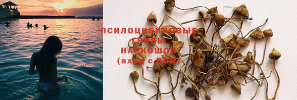 хмурый Богородицк