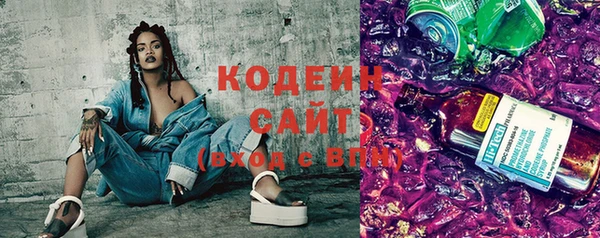 ГАЛЛЮЦИНОГЕННЫЕ ГРИБЫ Богданович