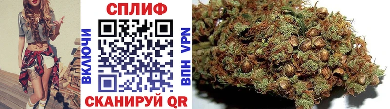darknet клад  Козельск  МАРИХУАНА ГИДРОПОН  блэк спрут ссылки 